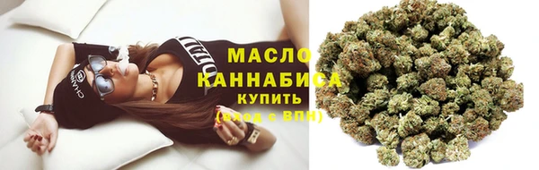 сатива Дмитриев