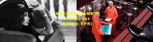 сатива Дмитриев