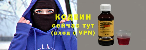 сатива Дмитриев