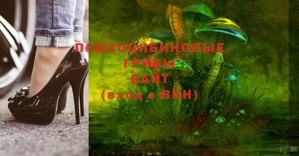 прущая мука Дмитров