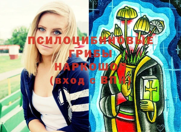 сатива Дмитриев