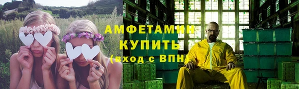 сатива Дмитриев