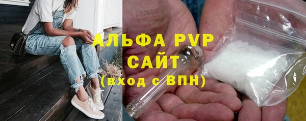 сатива Дмитриев