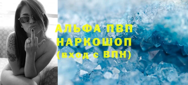 сатива Дмитриев