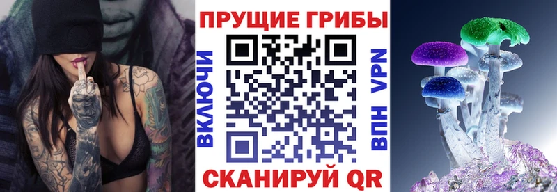 Галлюциногенные грибы MAGIC MUSHROOMS блэк спрут рабочий сайт Таганрог